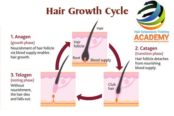 Keep the bucket in a warm, sunny area and move it to a warm place at night. How many inches will rice water grow your hair in seven ...