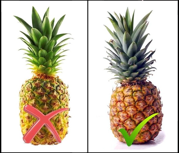 How to know when a pineapple is ripe enough to be cut Quora
