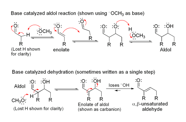 Chemistry What is the mechanism of Aldol Condensation? Quora