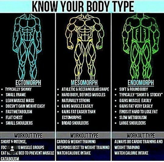 How many weeks does it take to get a perfect body? Quora