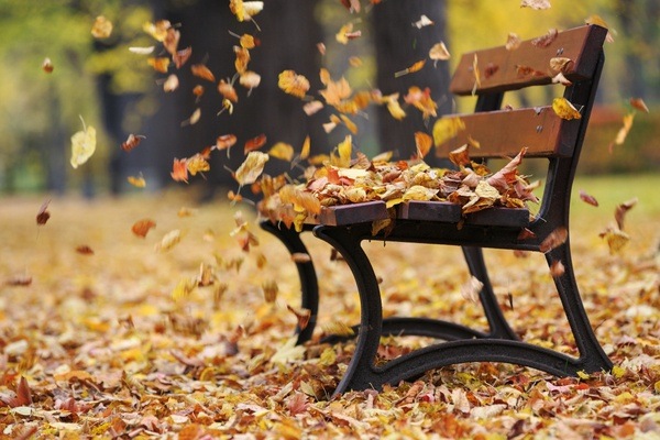 When you see leaves blowing in the wind, why do they sometimes spin in