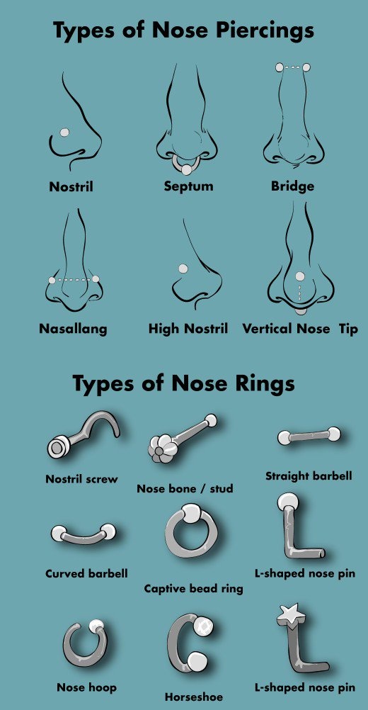 Can one have their nose pierced with a hoop ring? Quora