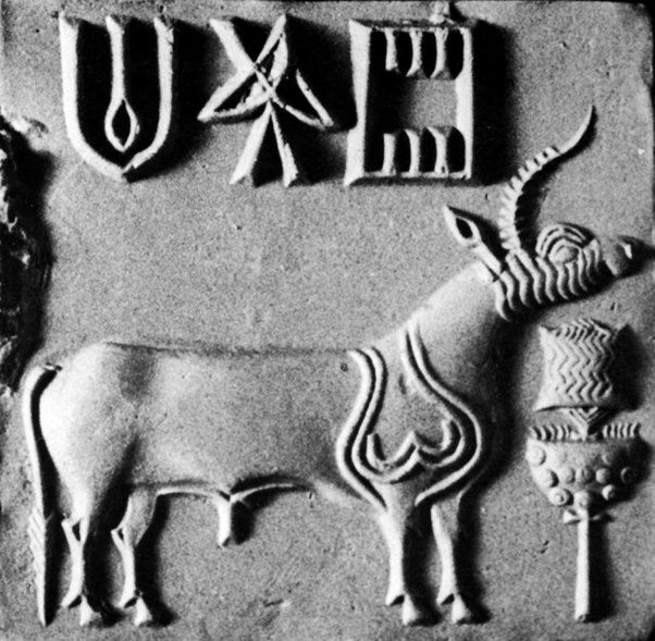 What is the origin of the the pig/boar on the emblem of the