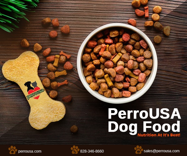 What foods can I give my dog? Quora