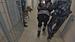 In a documentary for national geographic, vladimir nikolayev explained that he was in prison for cannibalism. What is Black Dolphin Prison known for? - Quora