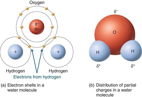 What is the difference between an atom and a molecule? Quora