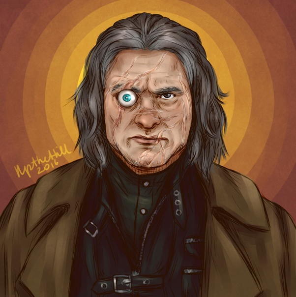 How do Harry Potter movie series characters look in the books? Quora