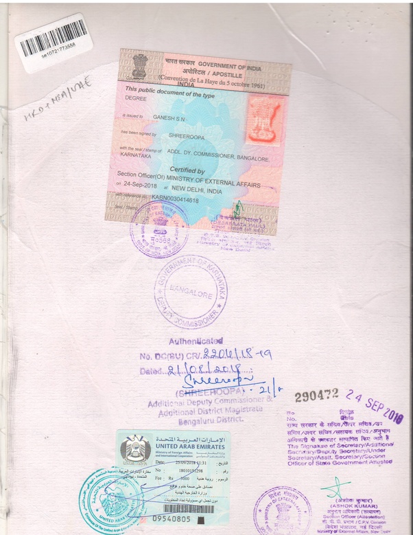 The Best What Certificates Do I Need To Work In A Kitchen References