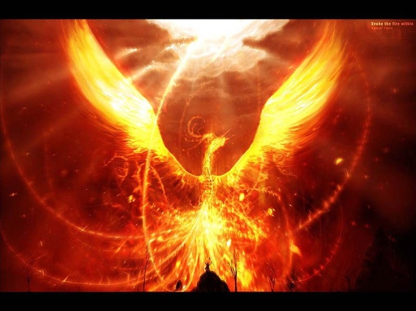 What does a Phoenix represent in Chinese culture? Quora