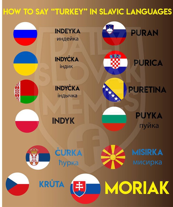 To what extent are Polish, Czech and Slovak languages mutually