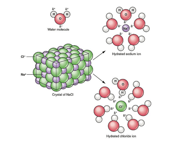 What is the difference between ionization and dissociation? Quora