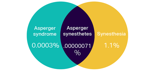 How prevalent is synesthesia in individuals with highfunctioning