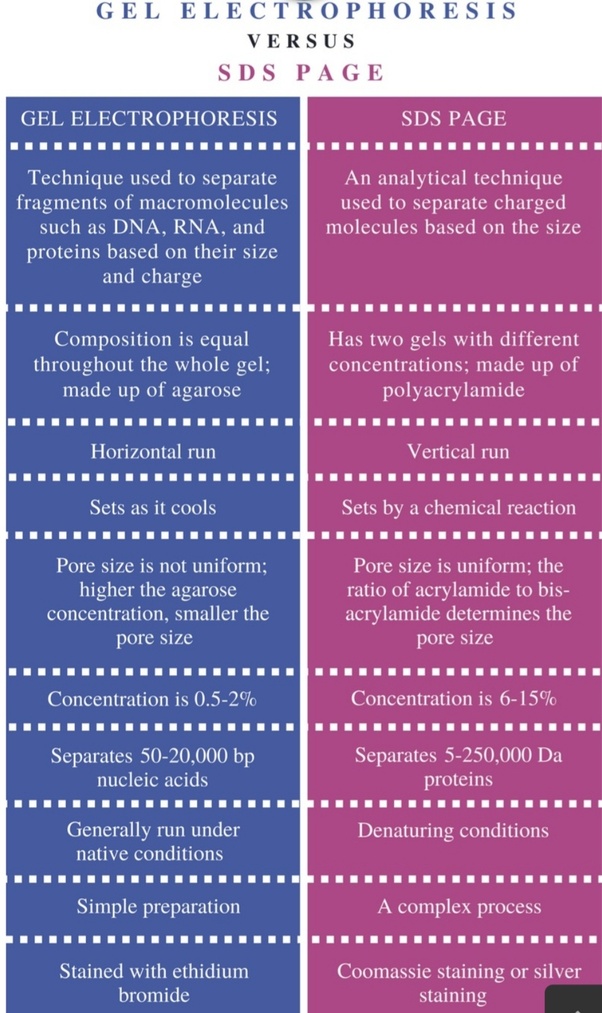 Native Page Vs Sds Page slidedocnow