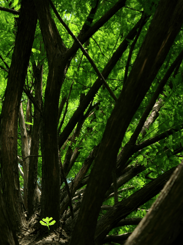 What is the most beautiful season to photograph? Quora