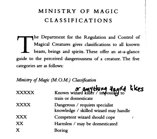 What is your review of Fantastic Beasts and Where To Find Them (2016