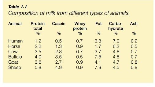 What is the difference between human milk and cow milk? Quora