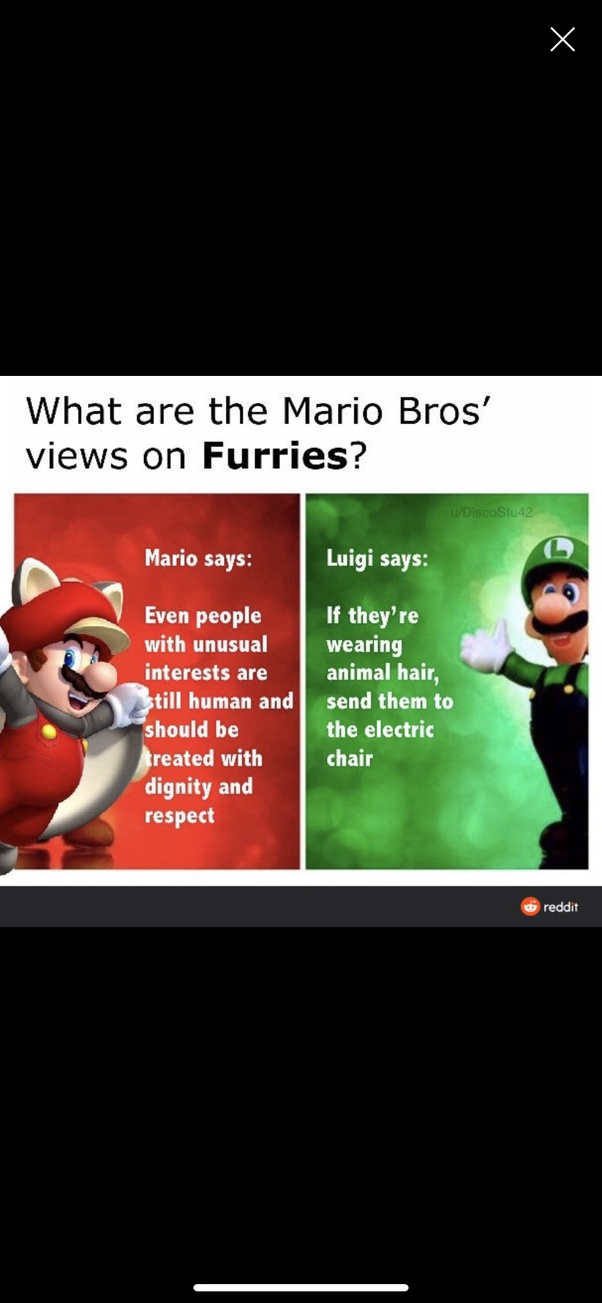 What are the last 10 pictures in your camera roll? Quora