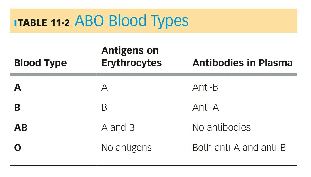 Bisakah saudara kandung memiliki golongan darah yang berbeda? - Quora