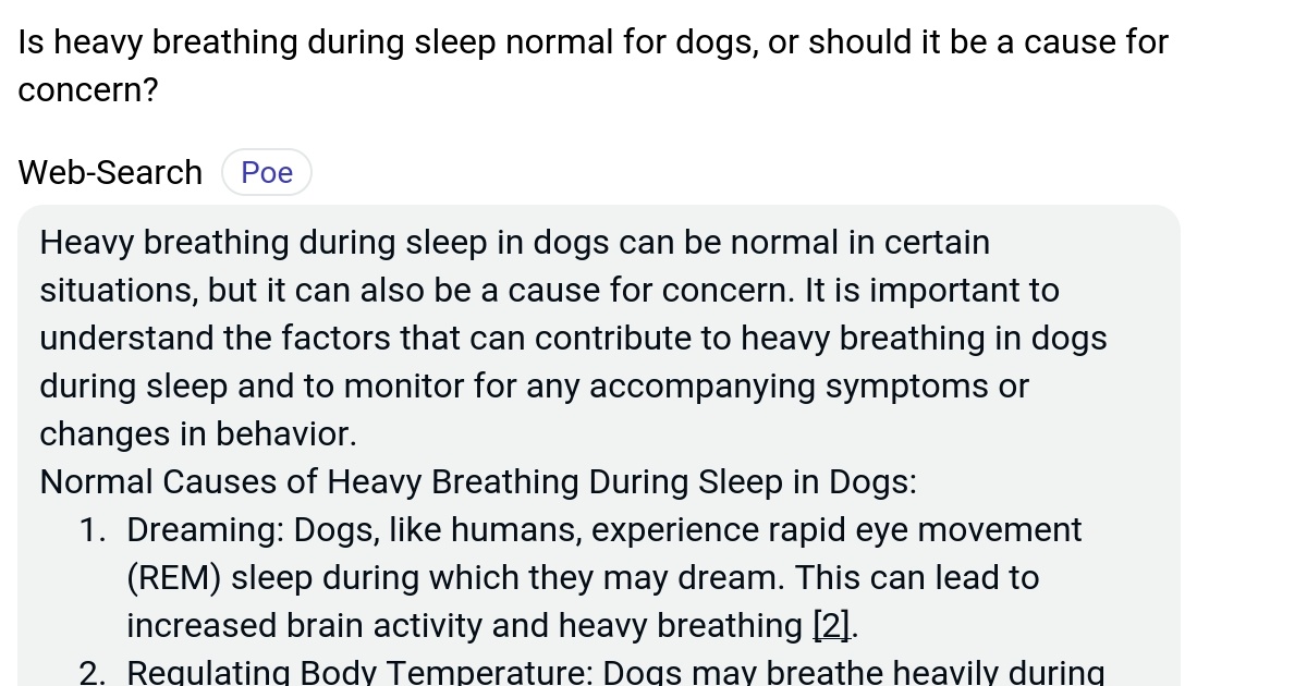 Is heavy breathing during sleep normal for dogs, or should it be a