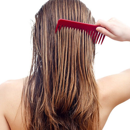 What steps should be taken to prevent hair loss? Quora