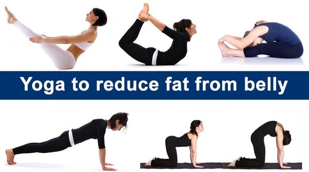 How to reduce belly fat in 15 days Quora