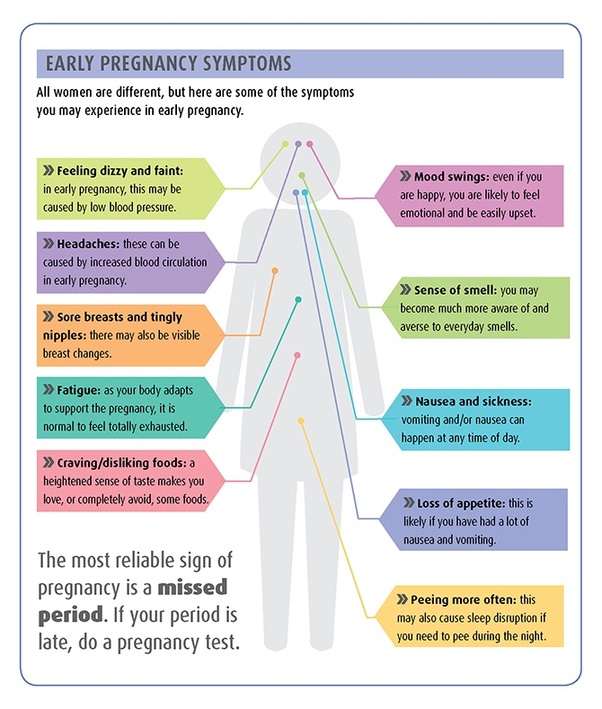 How many days after intercourse are symptoms of pregnancy going to show