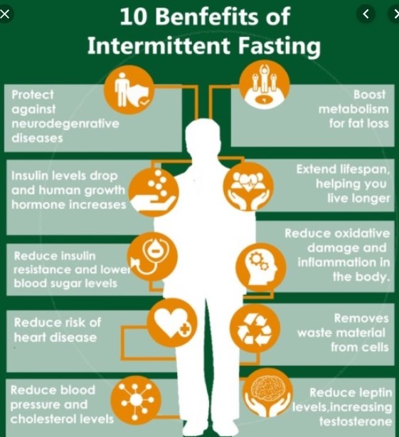 Does intermittent fasting decrease your metabolism? Quora