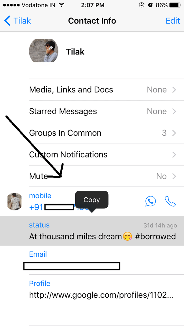 Whatsapp Status Copy Link WhatsApp now lets you add links in Status