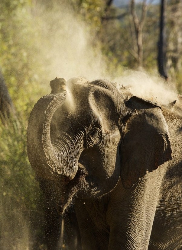 I want to do A wildlife photography course but I am not a graduate. I