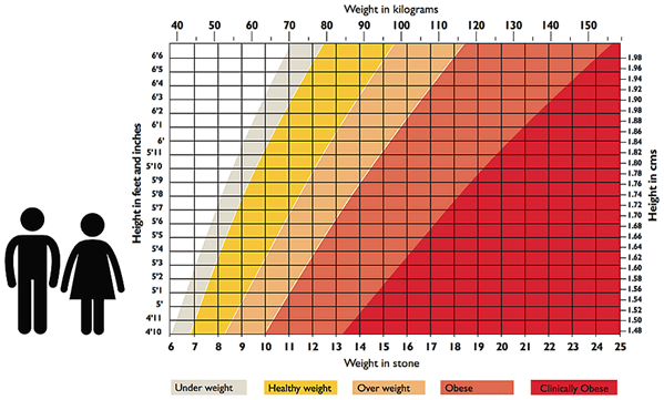 Why is height proportionate to the weight? Quora