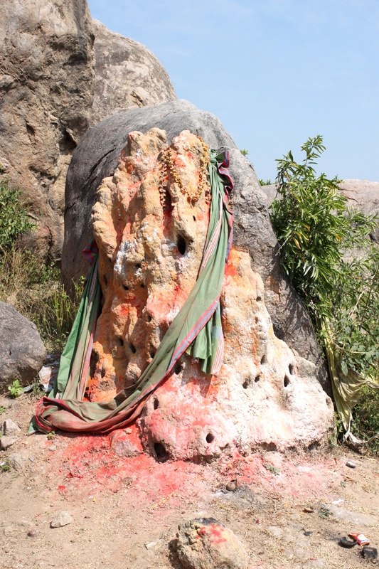 Why are there more followers on Quora for the Tamil language than for