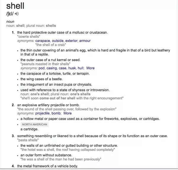 What does the word “shell” mean in programming? Quora