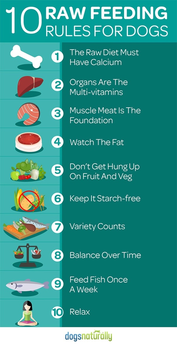 Check out our people food for dogs selection for the very best in unique or custom, handmade pieces from our shops. Why do people feed dogs dry food? Isn't it cheaper to give ...