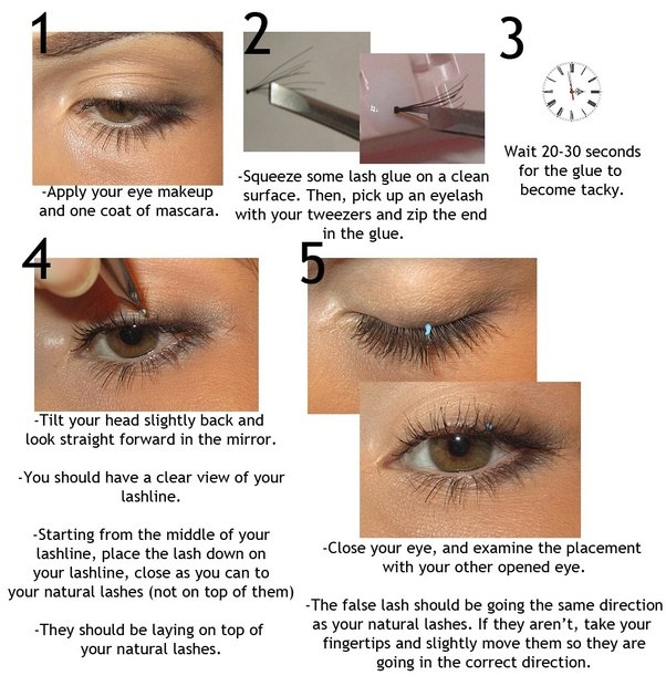 How to apply false eyelashes Quora