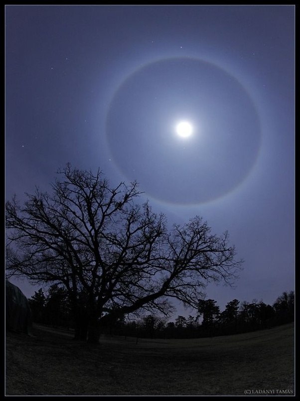 What is the thin glowing blue ring directly around the