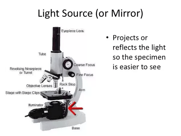 How are concave and convex mirrors used? Quora