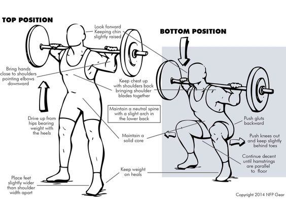 What is the difference between deadlifts and squats? Quora