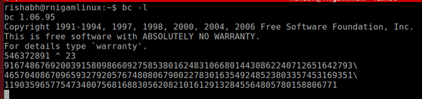 How did Shakuntala Devi mentally calculate the 23rd root of a 201digit