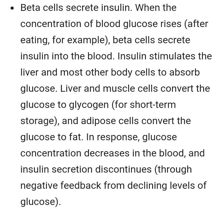 Bagaimana insulin dan glukagon yang disekresikan oleh pankreas berfungsi  secara antagonis? - Quora