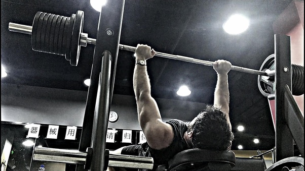 What exercises should I do in the gym? Quora