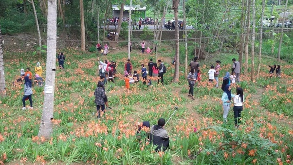 Apa dampak negatif apabila suatu daerah dikunjungi oleh terlalu banyak