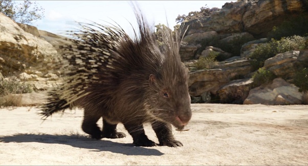 Are the animals in The Jungle Book all native to India? Quora