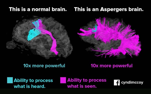 Can autism develop later in life? Quora