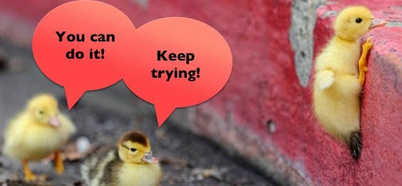 Is peer pressure harmful or beneficial to individuals? Quora