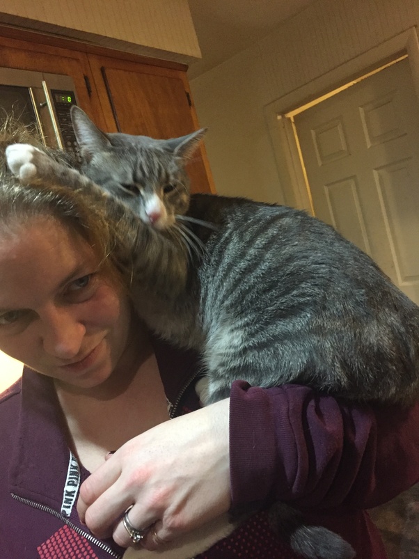 Why does my cat keep laying in front of where I'm walking? Is he trying