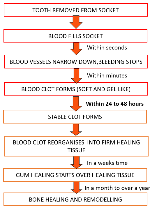 How long should I wait to swim after a wisdom tooth extraction? Quora