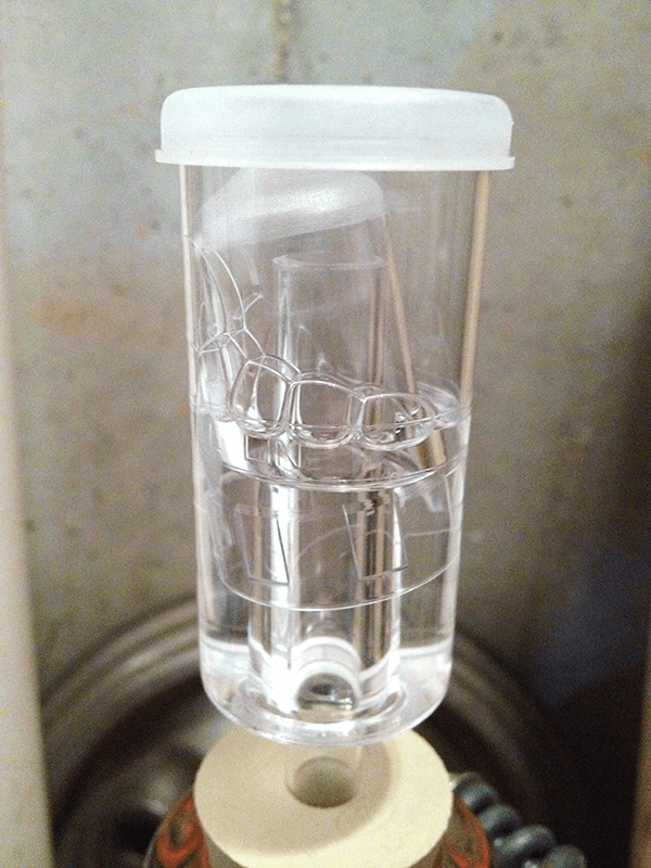 Does fermentation always include bubbling? Quora