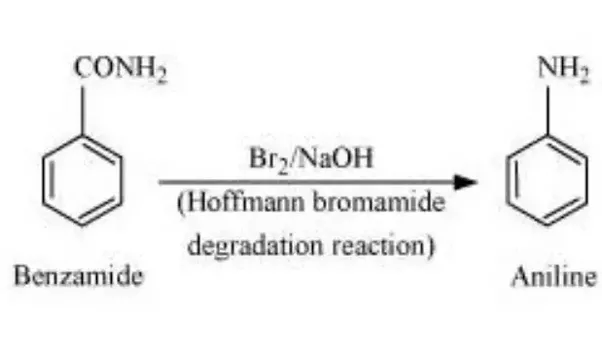 How to convert benzoic acid to aniline Quora