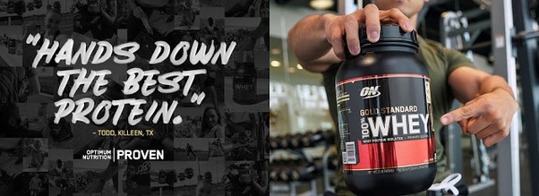 Which is best protine powder for gym workout? Quora