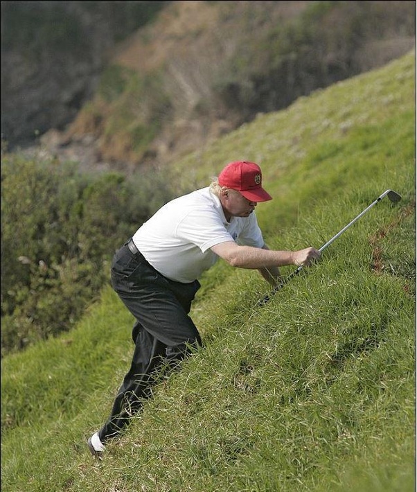 Cagefight Vladimir Putin vs. Donald Trump. Wer gewinnt? Quora